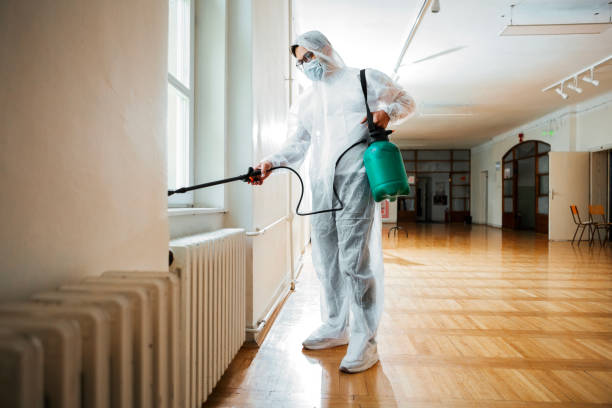 Best Local Pest Control Services  in Waverly, NE